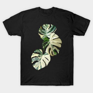 MONSTERA THAI CONSTELLATION MUTATION T-Shirt